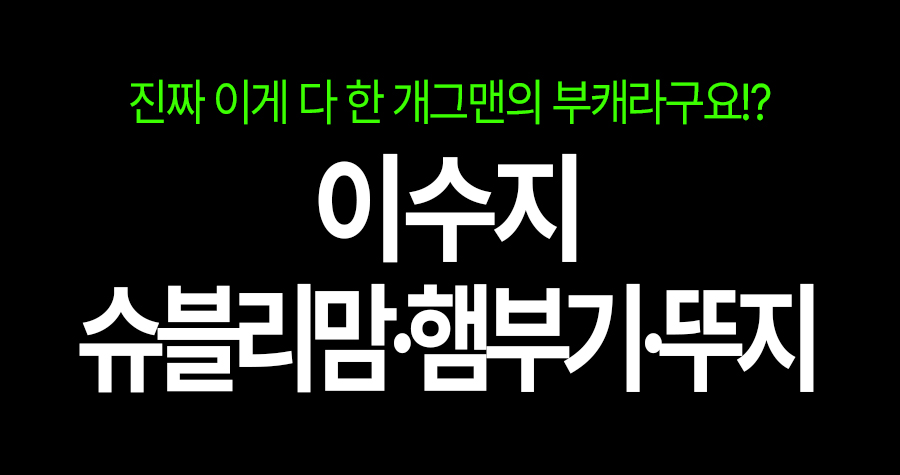 이게 다 이수지라고? 슈블리맘·HAMBUGGY·에겐녀 뚜지 ‘부캐 3종 세트’