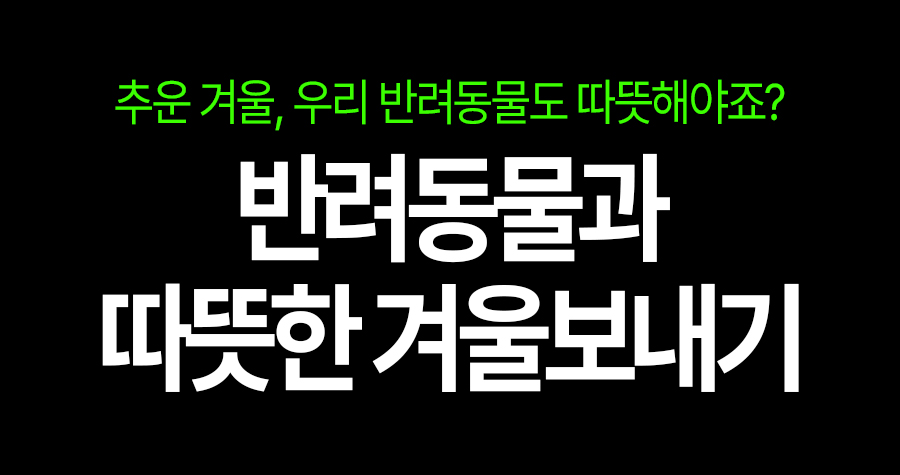 ❄️반려동물과 따뜻하게 보내는 겨울, 이것만 보면 끝!