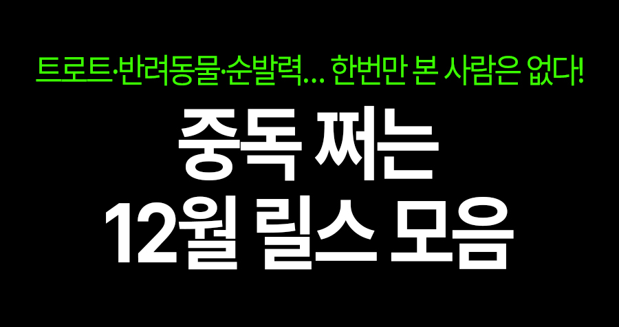 이거 왜 계속 보게 되지? 12월 릴스 중독 유발 TOP 3