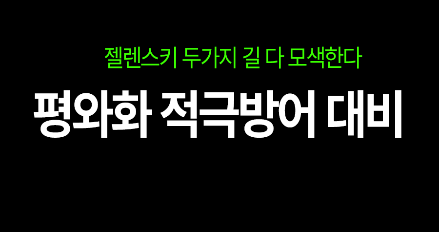 젤렌스키 “평화와 적극 방어, 두 가지 길 모두 대비하겠다”